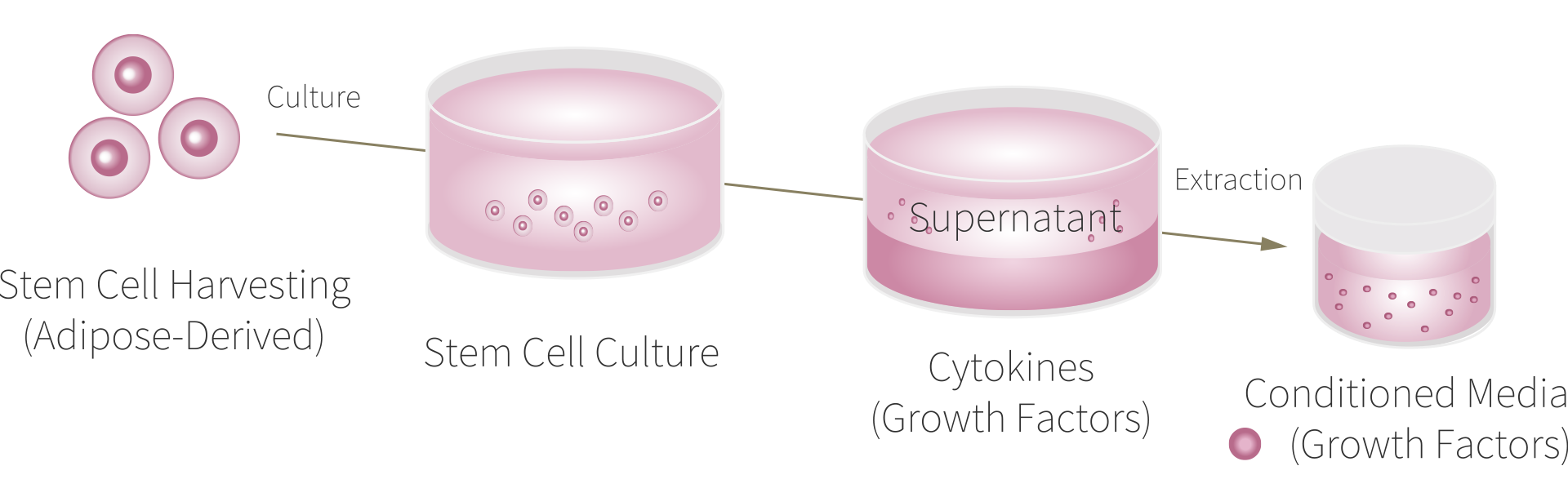Stem Cell Conditioned Media