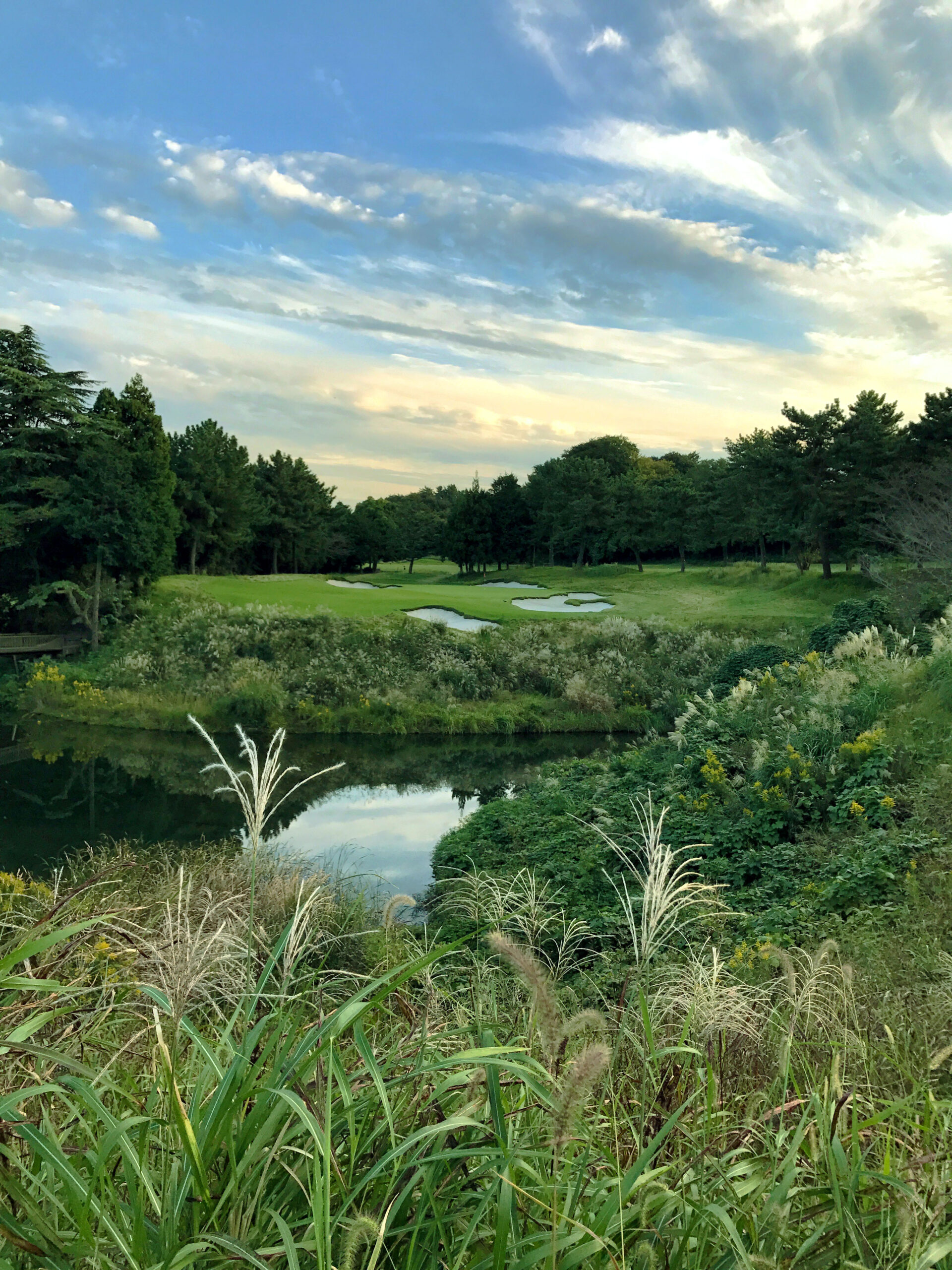 大会風景（縦長）