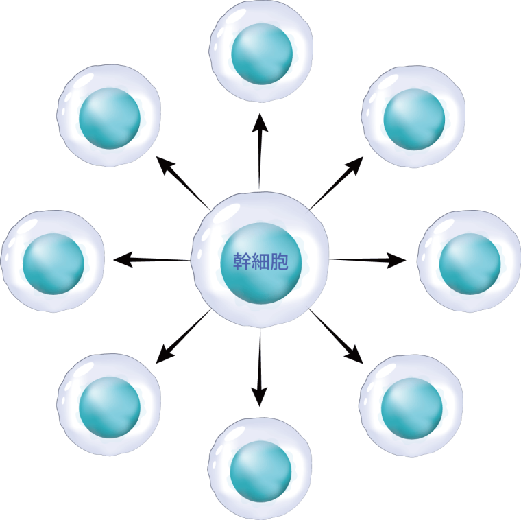 自己複製能の図解
